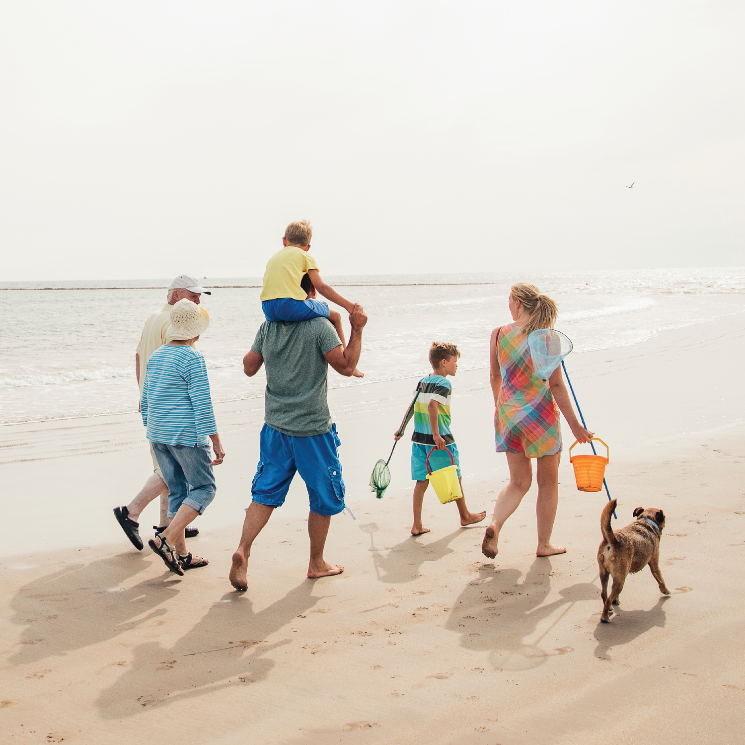 Introducing CARMA Rewards Club | Reasons To Join