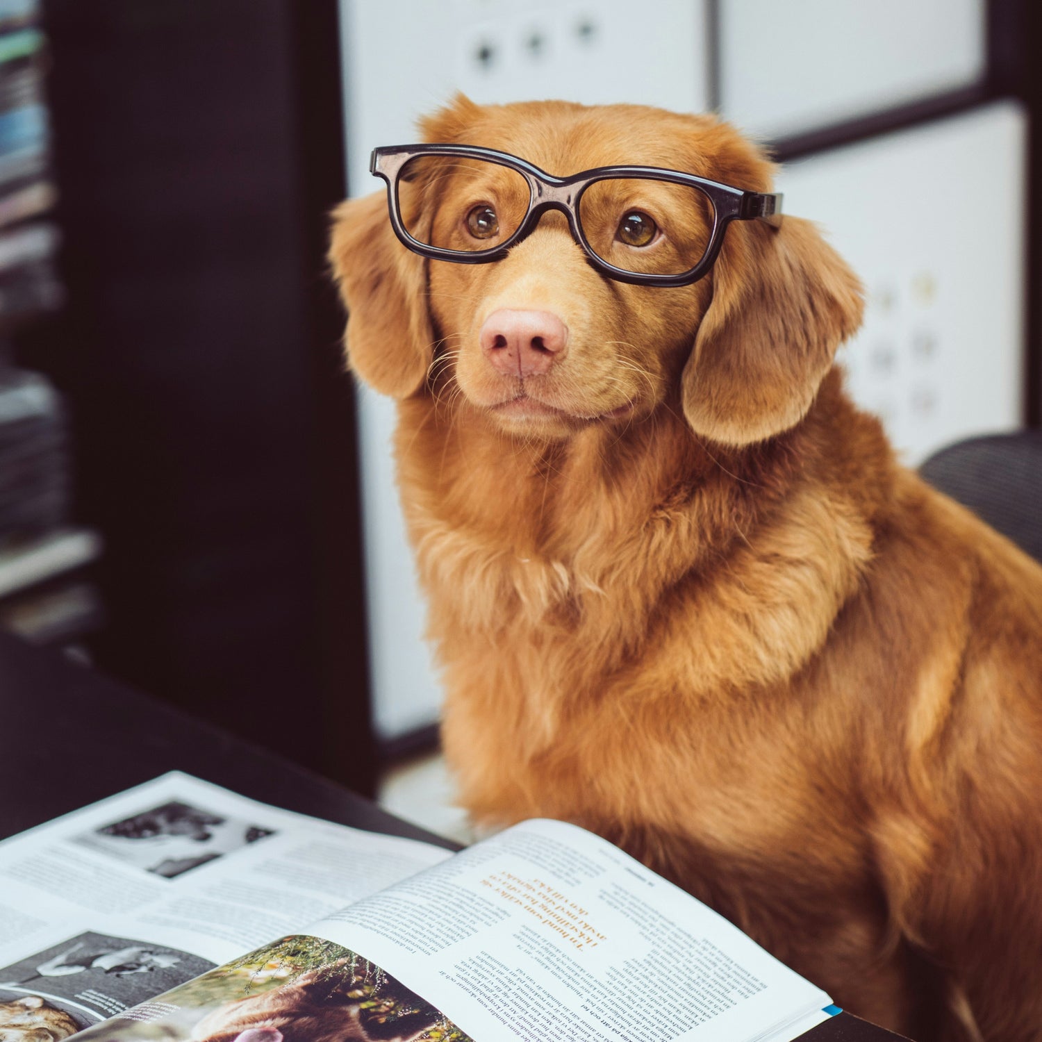 Get The Most Out Of CARMA Rewards Club | Getting Bonus Entries