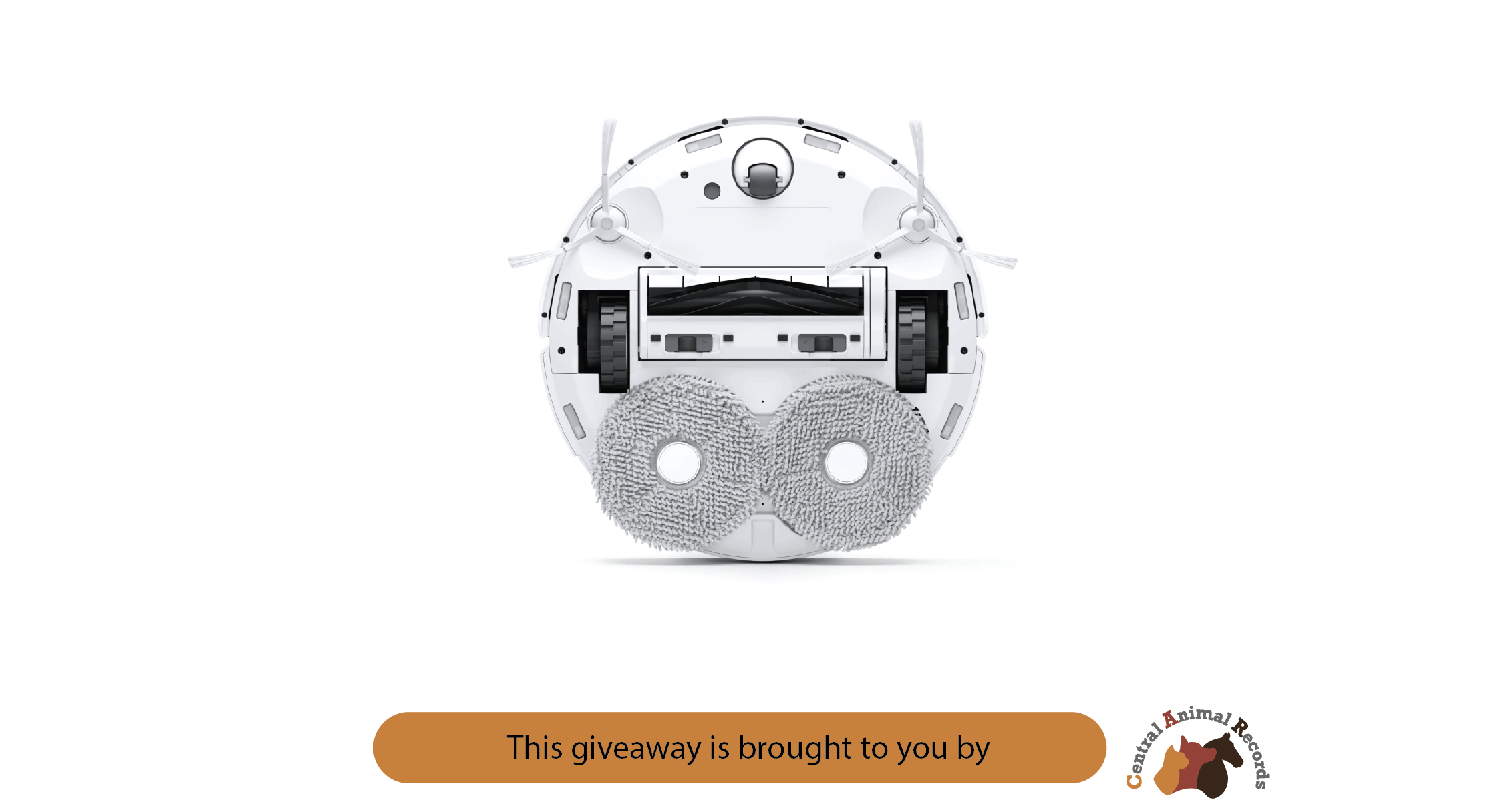 August 2024 Giveaway: ECOVACS Robot Vacuum