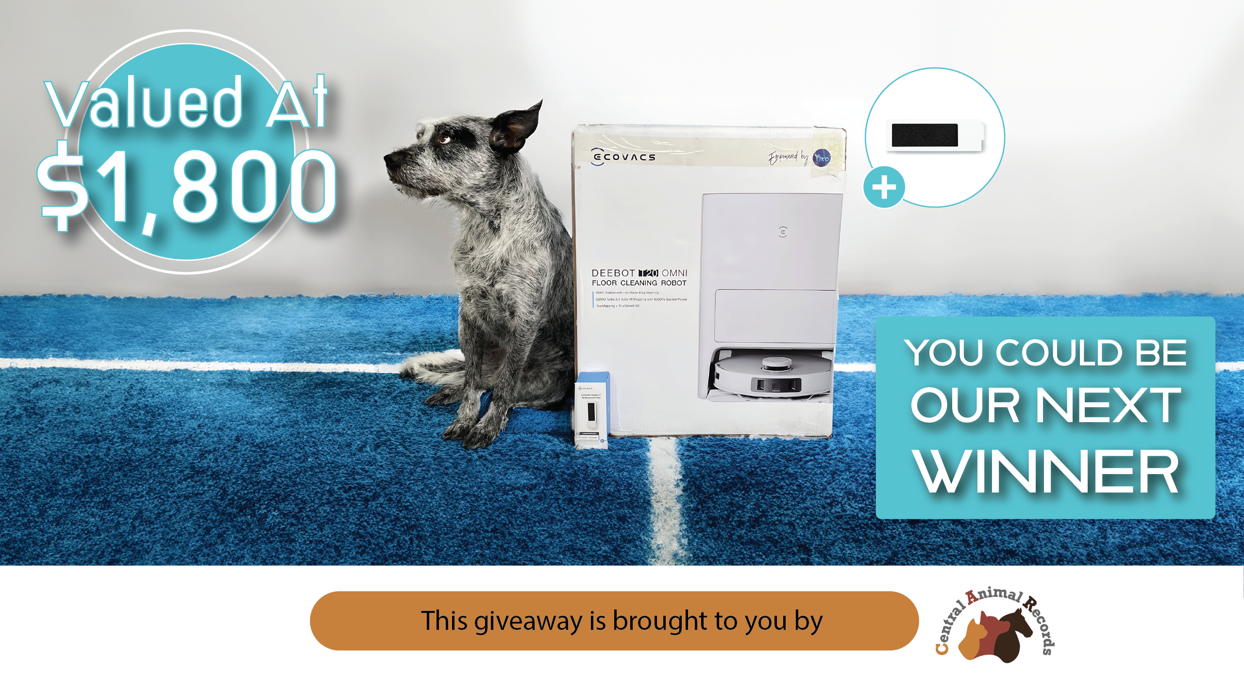 August 2024 Giveaway: ECOVACS Robot Vacuum