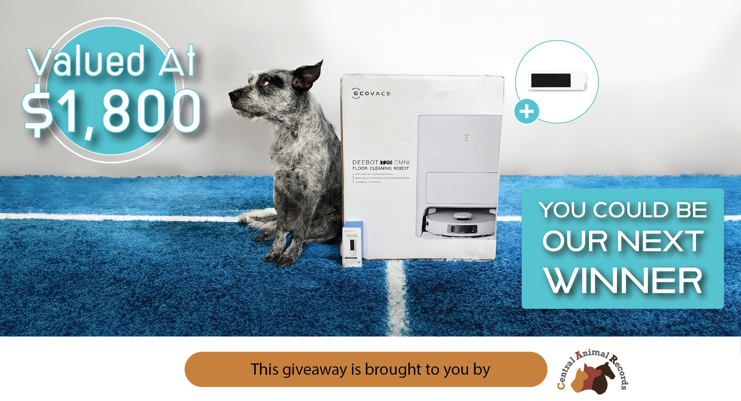 August 2024 Giveaway: ECOVACS Robot Vacuum