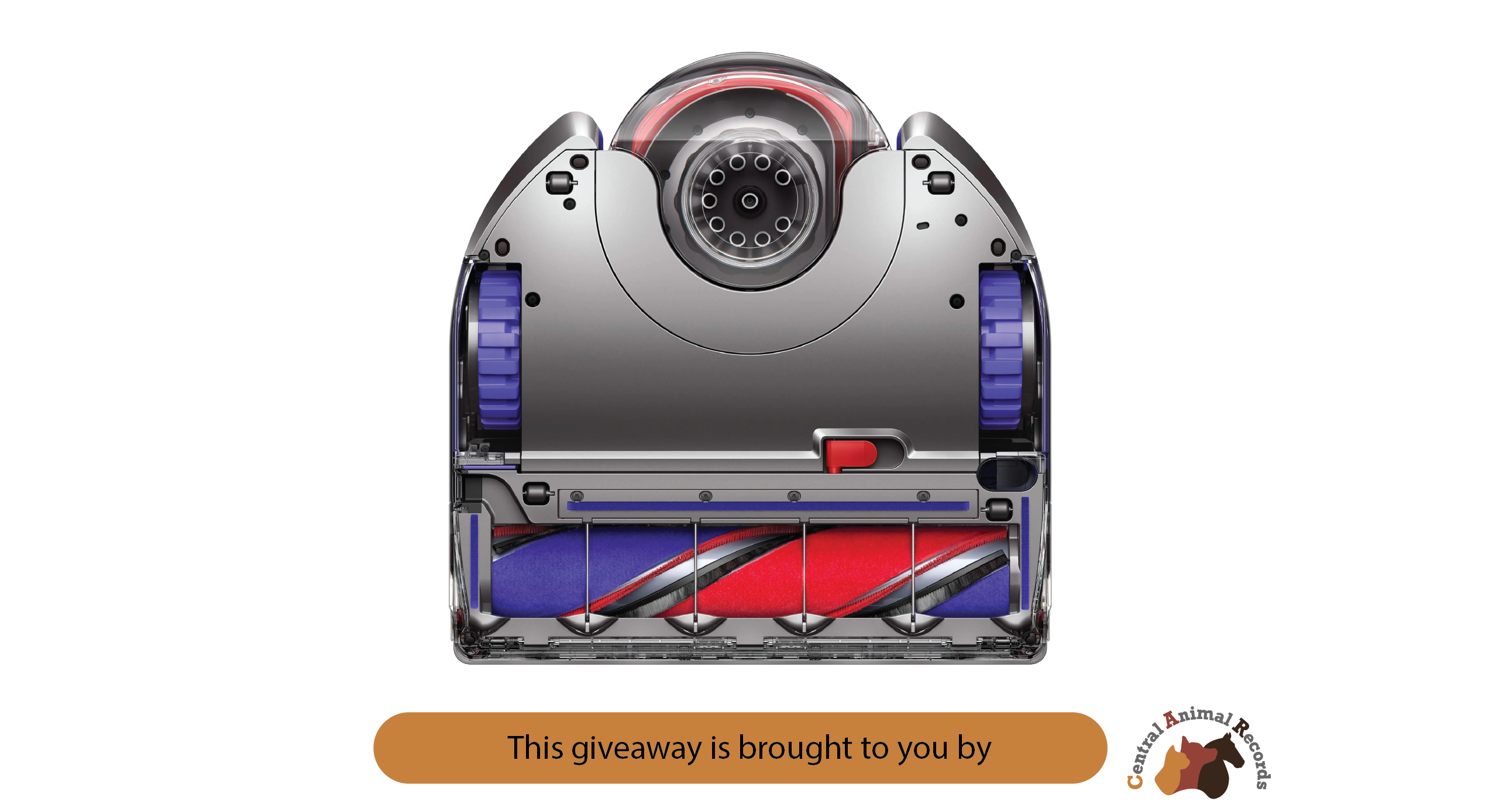 February 2025 Giveaway: Dyson 360 Vis Nav Robot Vacuum Bundle