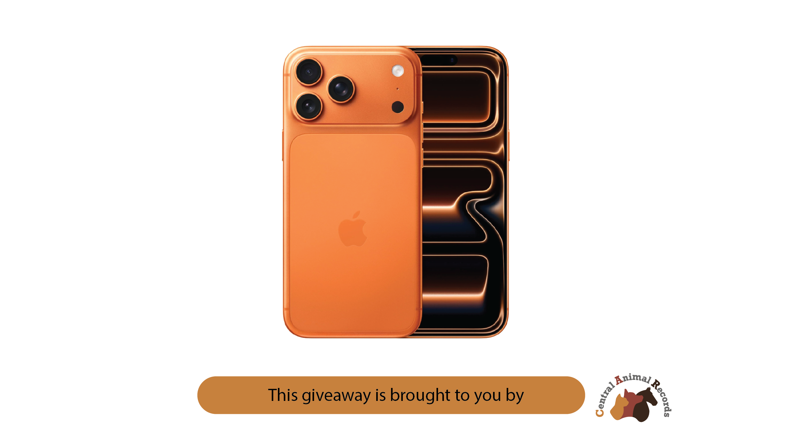 February 2026 Giveaway: Apple iPhone 17 Pro Max 256GB