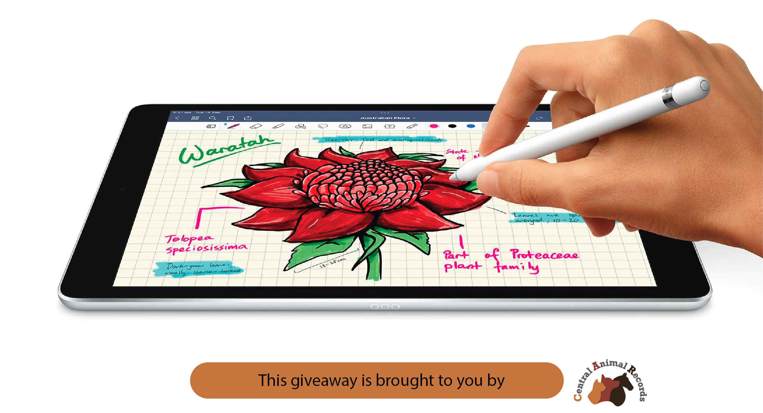 Apple iPad 9th generation CARMA Rewards Club prize