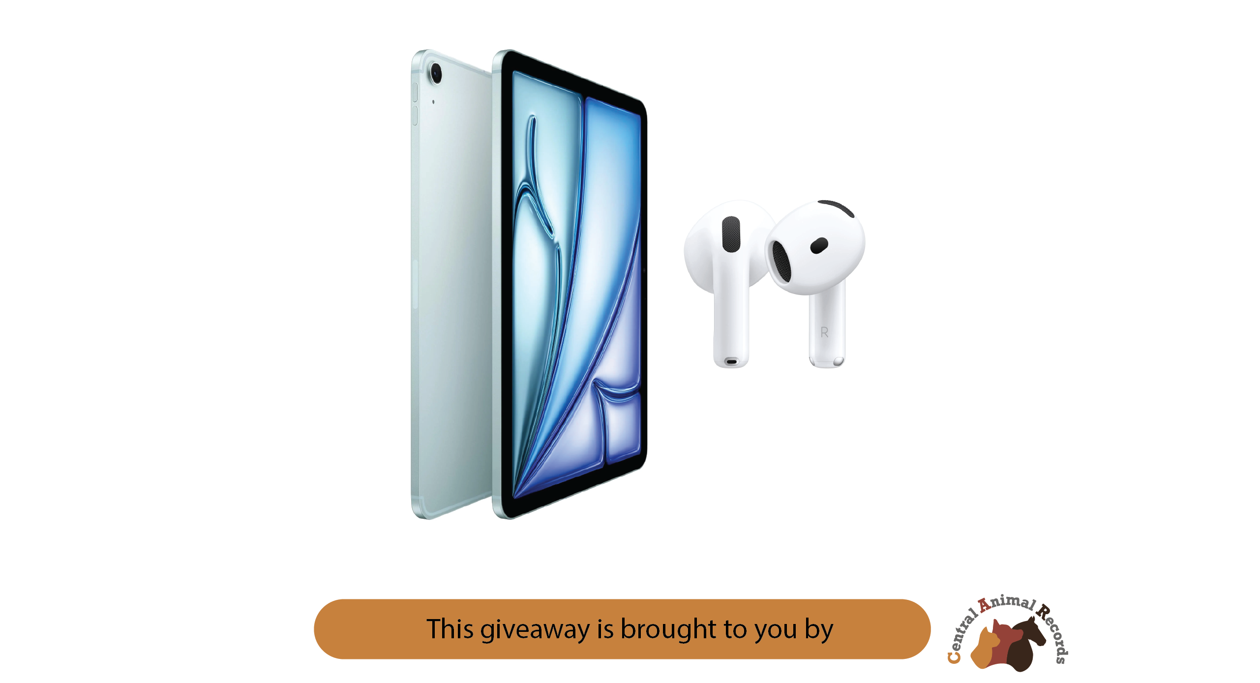 January 2025 Giveaway: Apple iPad Air, AirPods & Pencil Bundle