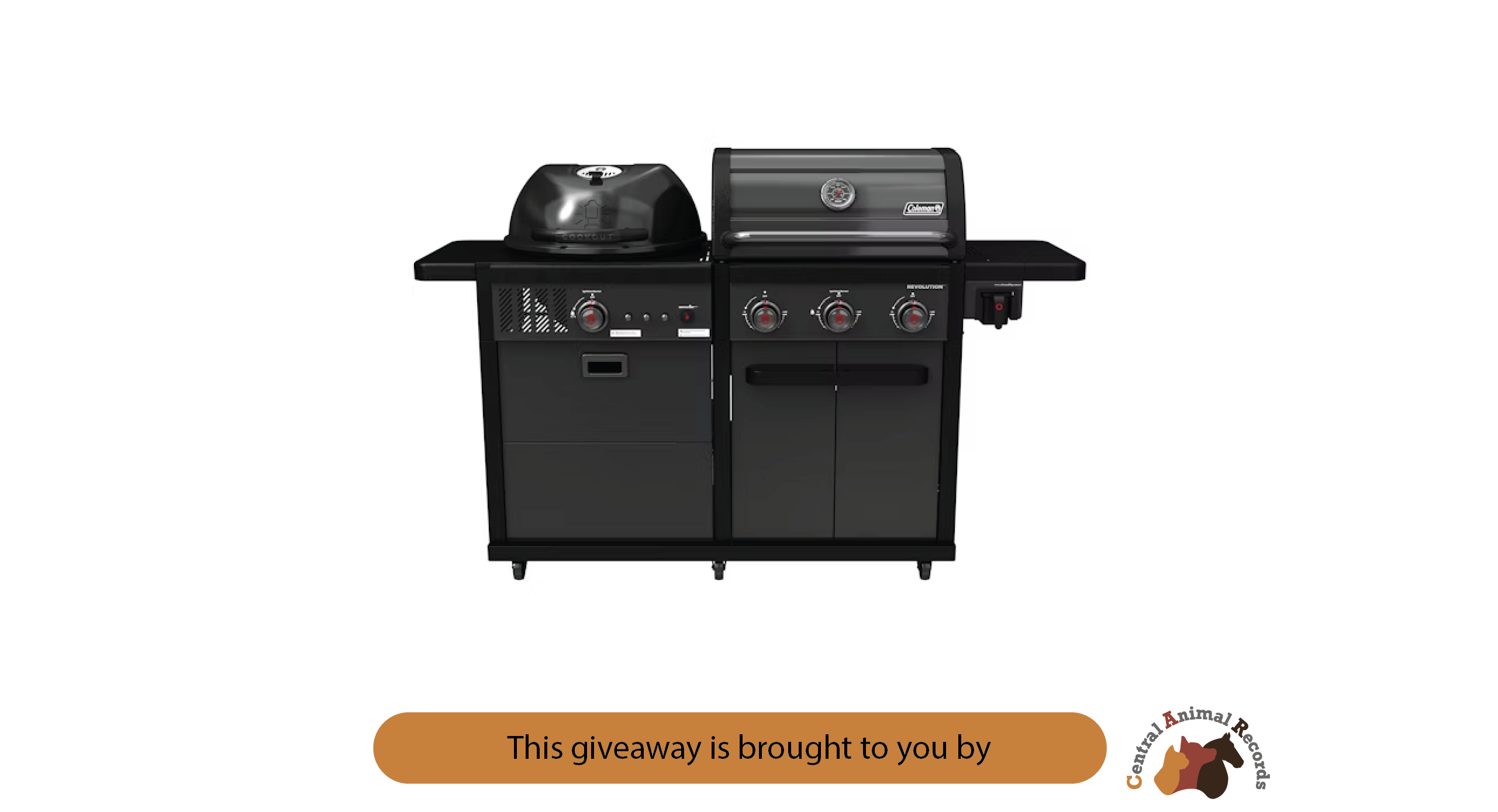 January 2026 Giveaway: Dual Fuel BBQ OR Shopping Voucher