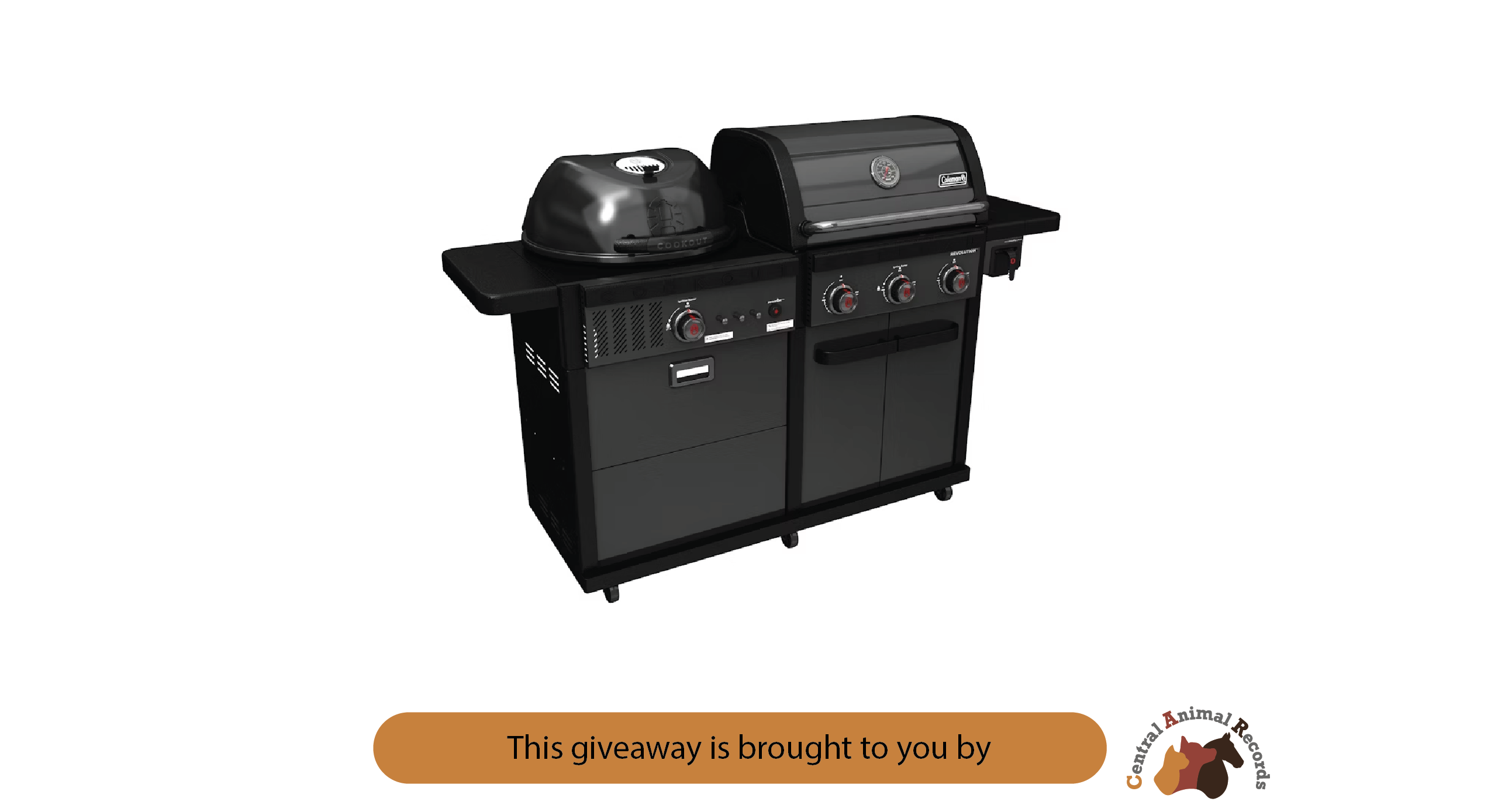January 2026 Giveaway: Dual Fuel BBQ OR Shopping Voucher
