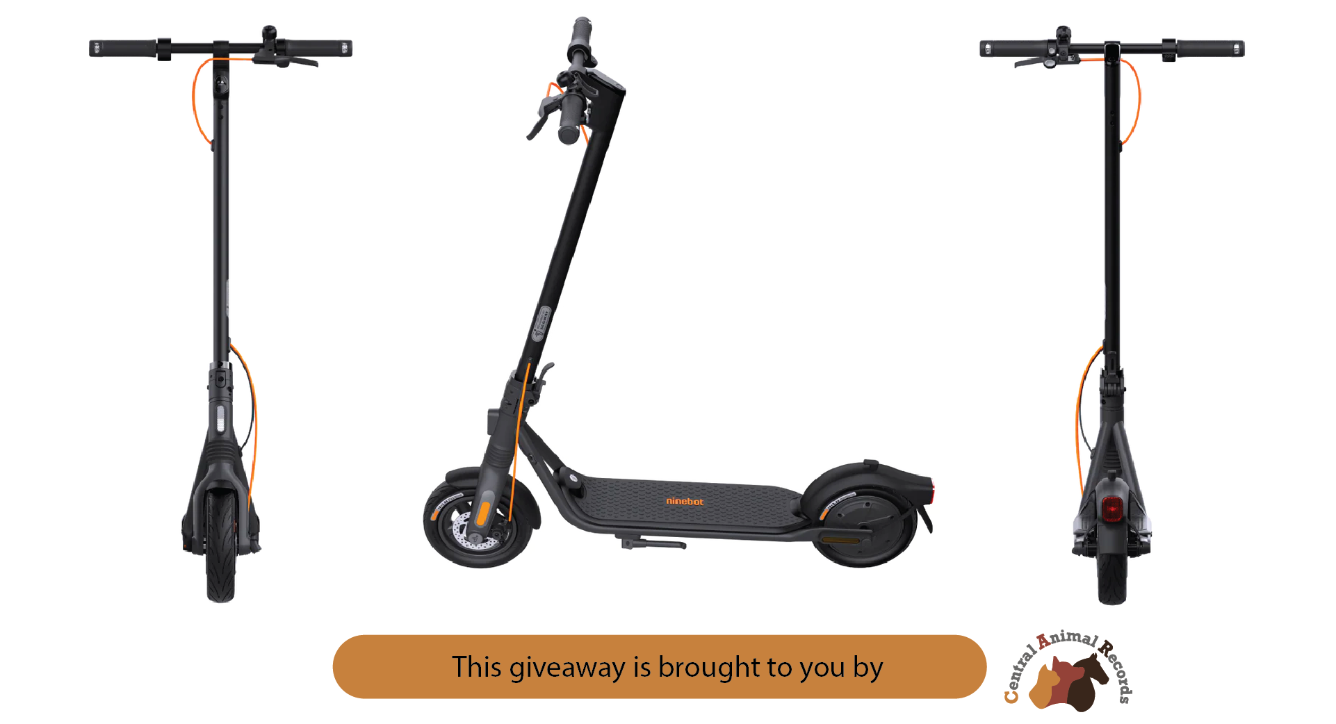 July 2024 Giveaway: Segway E-Scooter Bundle