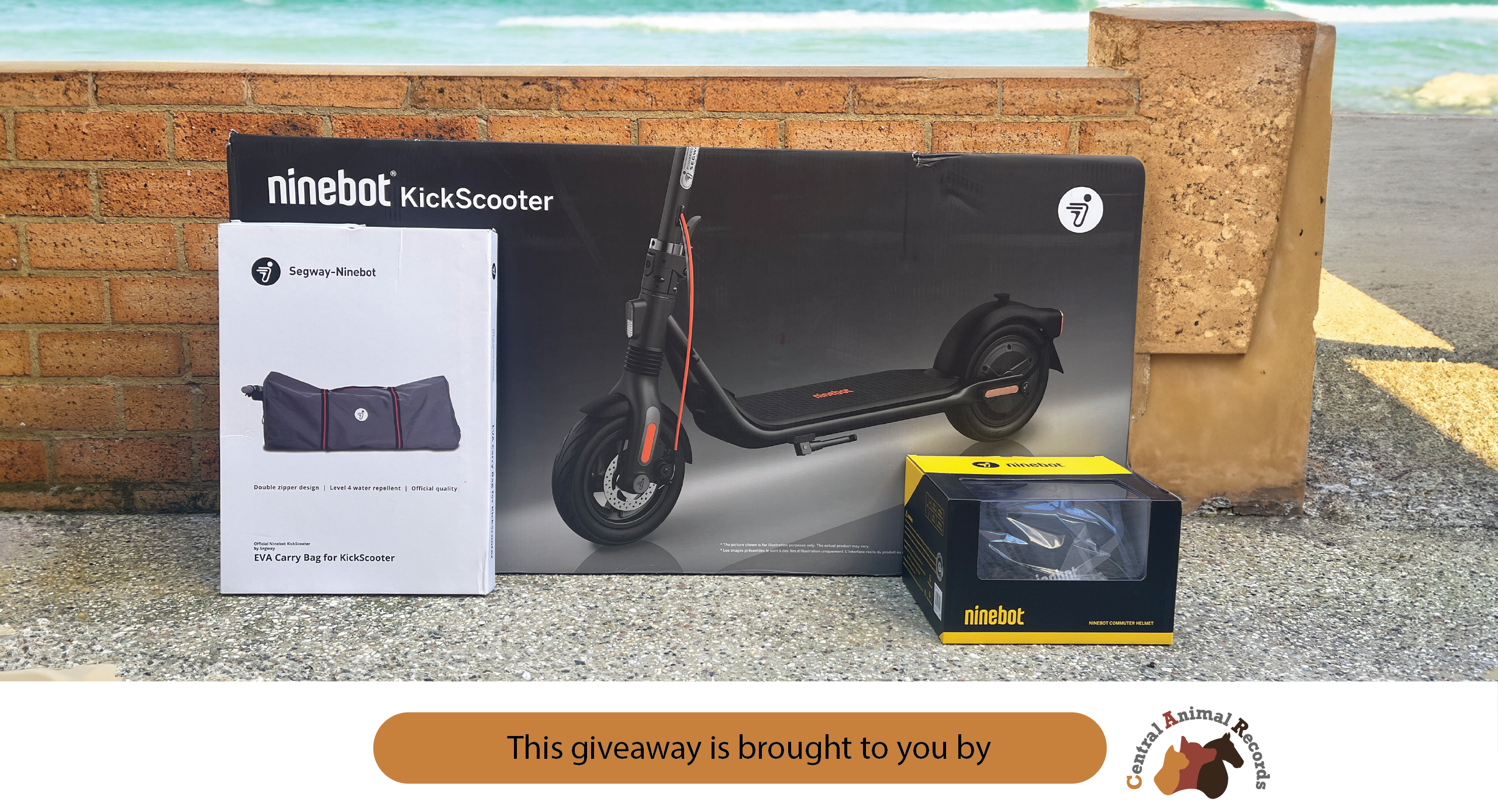 July 2024 Giveaway: Segway E-Scooter Bundle