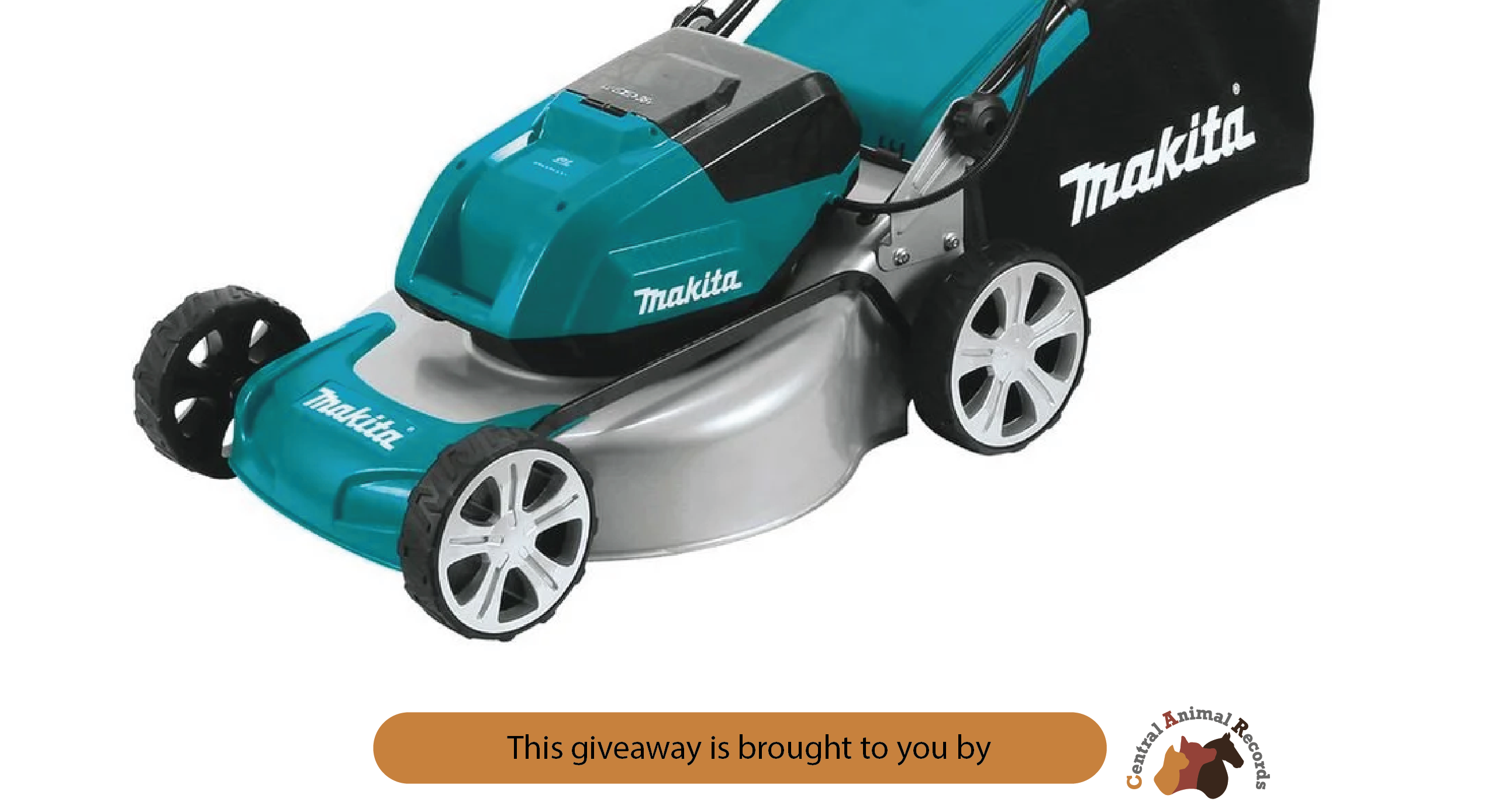 August 2026 Giveaway: Makita Lawn Mower OR Dyson Vacuum