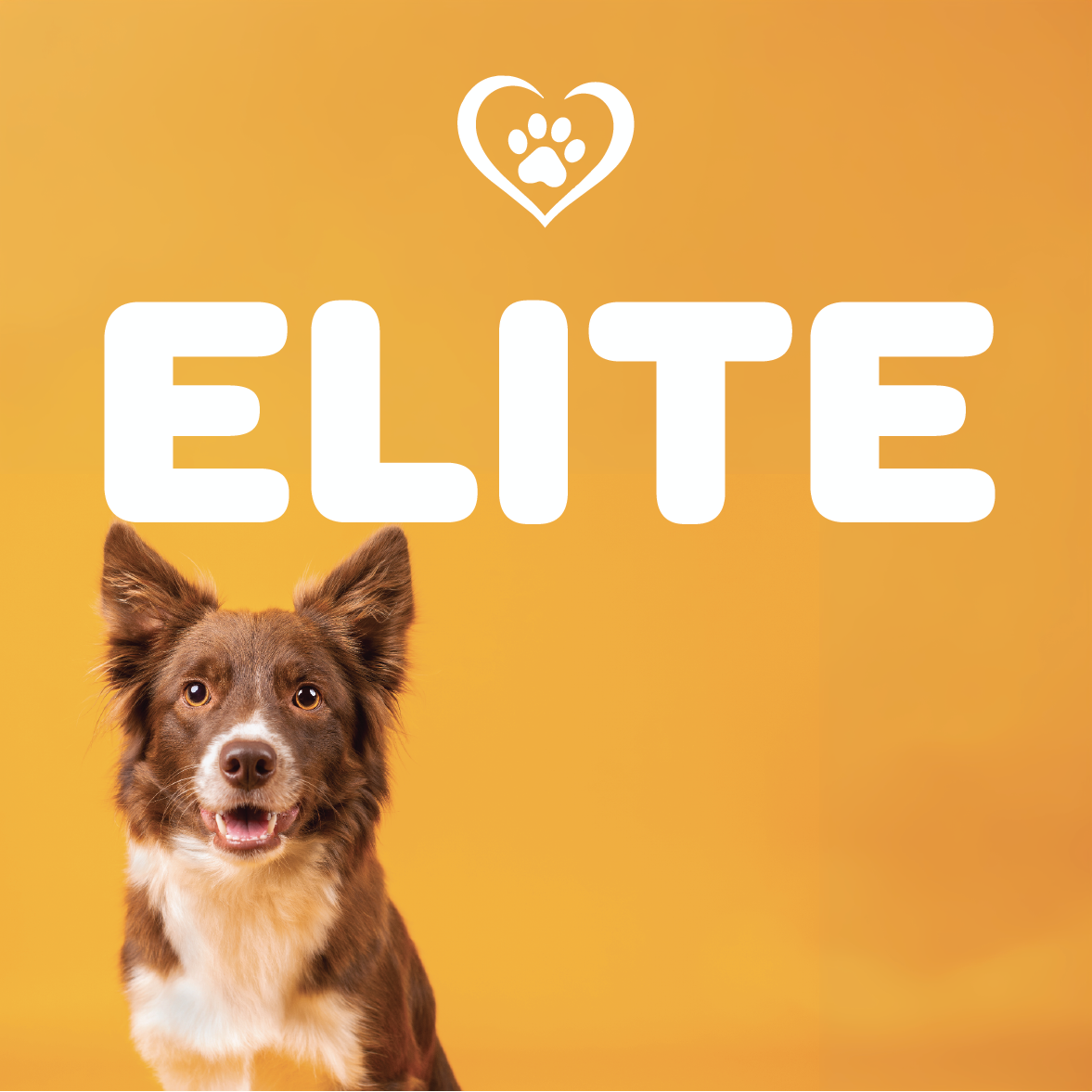 CRC ELITE Membership