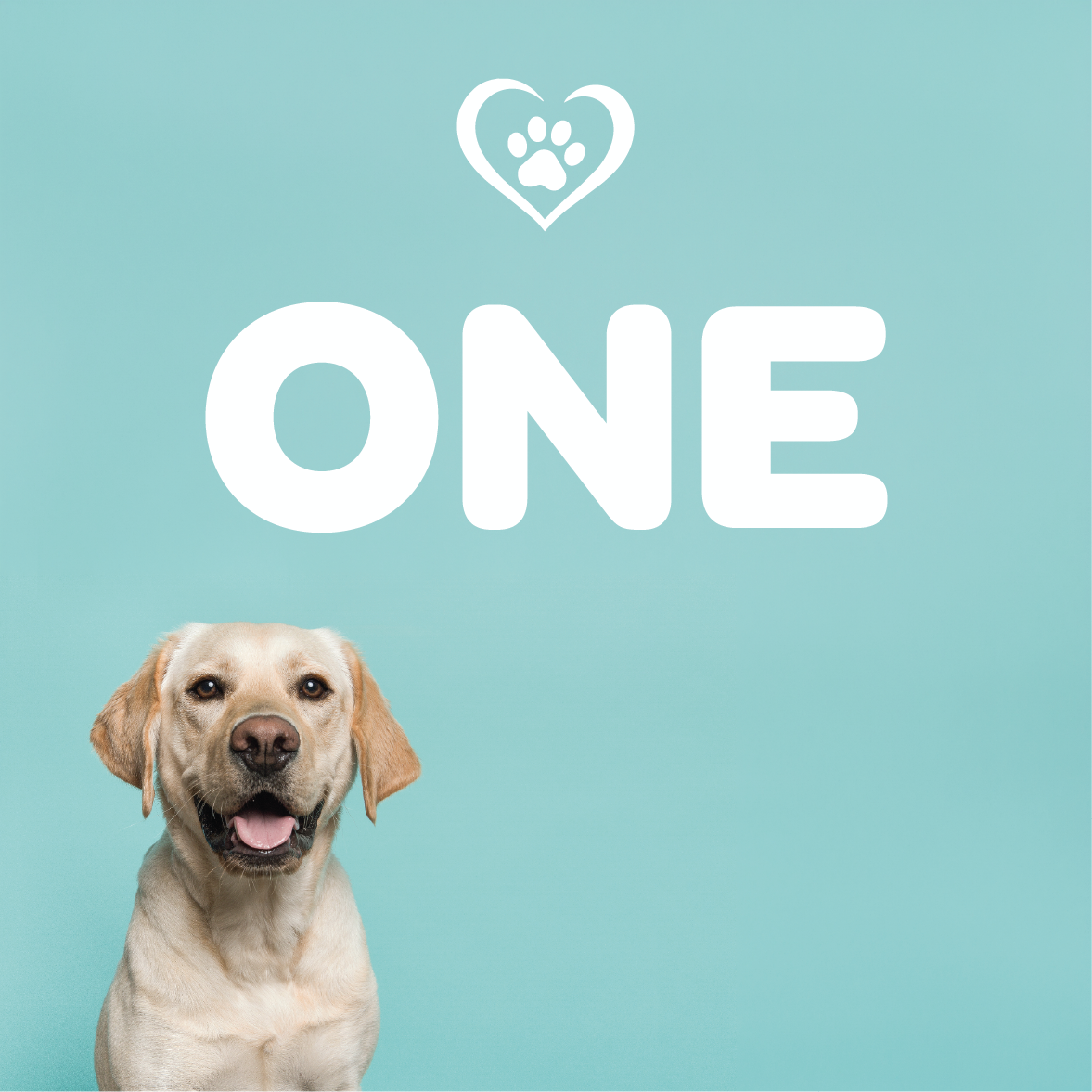 CRC ONE Membership
