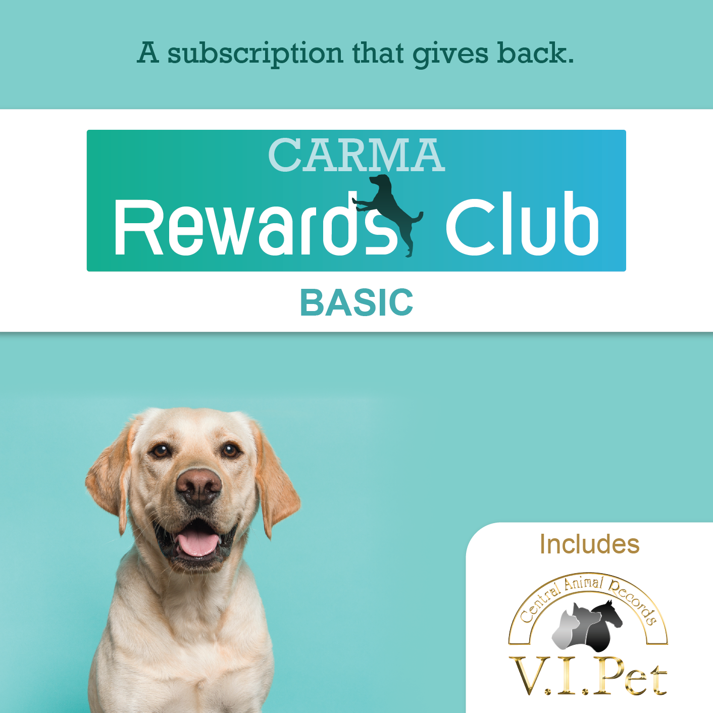 CARMA Rewards Club BASIC with Labrador Retriever 