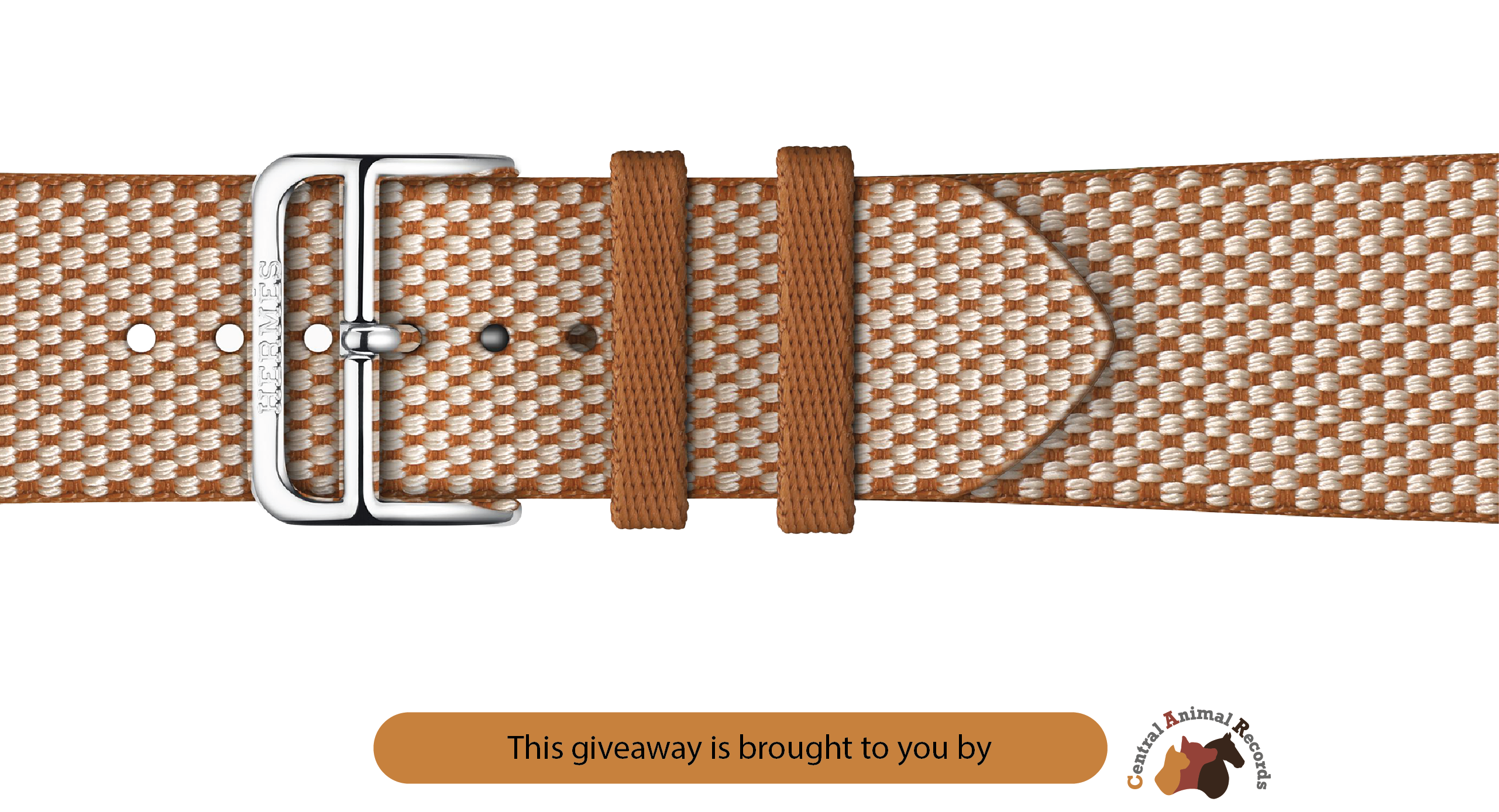 September 2026 Giveaway: Apple Watch Hermès Series 11