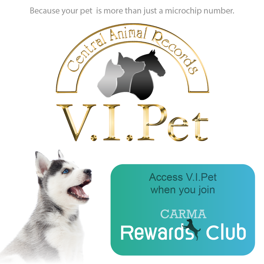 Petvet Care Centers Petvet Microchip Emergency Vet Vip Pet Clinic