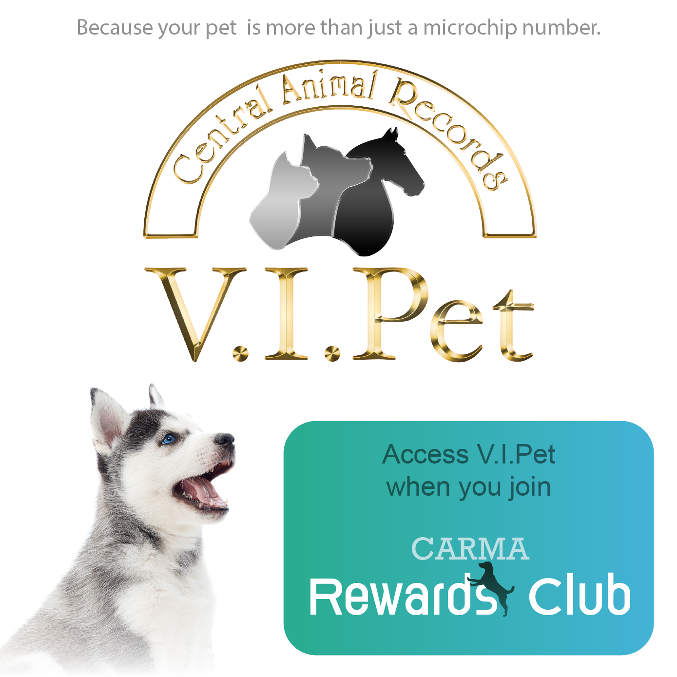 V.I.Pet (Included With CRC Membership)